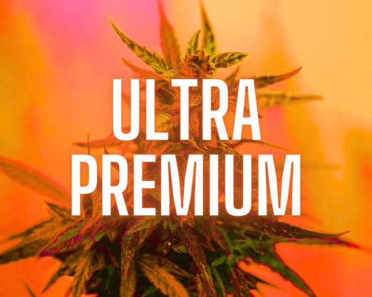 Ultra Premium 180.00$/Oz's